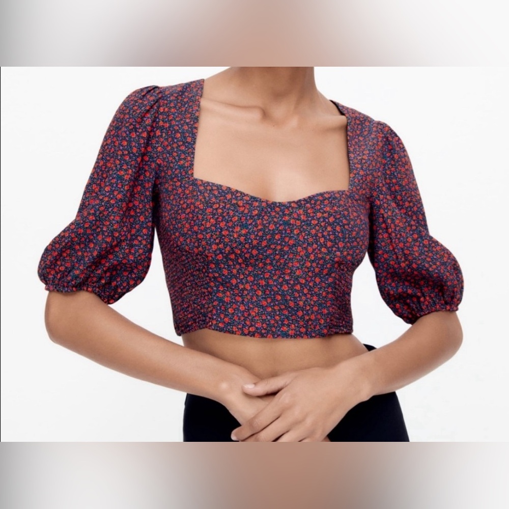 Zara Rosey Floral‎ Crop Top - L